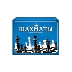 Рыжий кот Шахматы (мини-коробка) ИН-1613