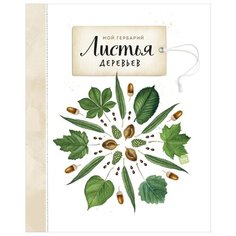 Васильева А. "Мой гербарий. Листья деревьев"