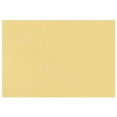 Бумага Fabriano Tiziano для пастели 65 х 50 см, 160г/м², 1 л. Banana