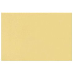 Бумага Fabriano Tiziano для пастели 65 х 50 см, 160г/м², 1 л. Banana