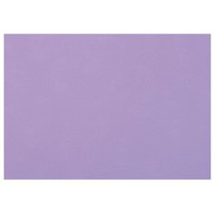 Бумага Fabriano Tiziano для пастели 65 х 50 см, 160г/м², 1 л. Violetta