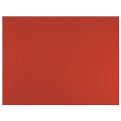 Бумага Fabriano Tiziano для пастели 65 х 50 см, 160г/м², 1 л. vesuvio