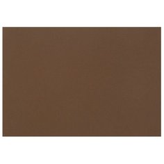 Бумага Fabriano Tiziano для пастели 65 х 50 см, 160г/м², 1 л. caffe