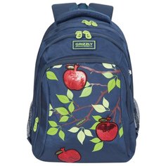 Grizzly Рюкзак RG-062-1, синий