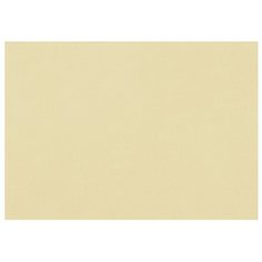 Бумага Fabriano Tiziano для пастели 65 х 50 см, 160г/м², 1 л. mandorla