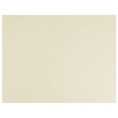 Бумага Fabriano Tiziano для пастели 65 х 50 см, 160г/м², 1 л. avorio