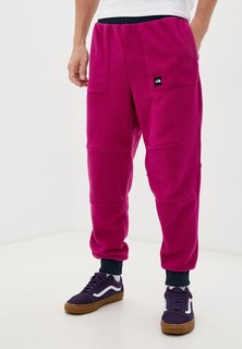 Брюки спортивные The North Face