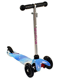 Самокат Triumf Active SKL-06AHP Dolphin