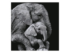 Картина по номерам Картина по номерам Котеин Большая забота 30x30cm KHM0045