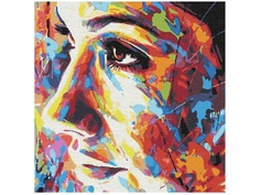 Картина по номерам Котеин В стиле граффити 30x30cm KHM0056