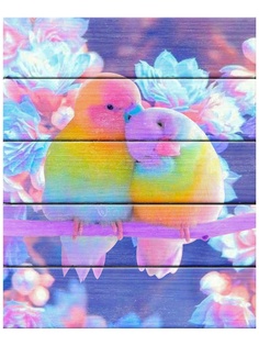 Картина по номерам Flamingo Влюбленные попугаи 40x50cm FLA024