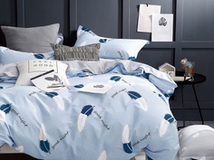 Постельное белье Cleo Satin Lux 30/495-SL Комплект Евро Сатин