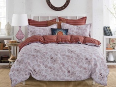 Постельное белье Cleo Satin Lux 41/484-SL Комплект Дуэт Сатин