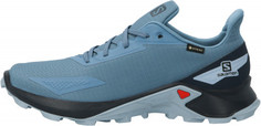 Кроссовки женские Salomon Alphacross Blast Gtx, размер 39