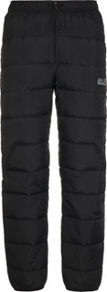 Брюки утепленные мужские Jack Wolfskin Atmosphere, размер 54-56
