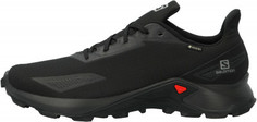 Кроссовки мужские Salomon Alphacross Blast Gtx, размер 45.5