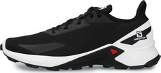 Кроссовки мужские Salomon Alphacross Blast, размер 41.5