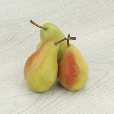 Груша Лесная красавица кг Noname