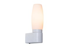 Светильник настенный Aqua Arte Lamp