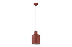 Светильник подвесной Lumion Rigby Hoff