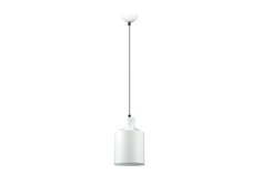 Светильник подвесной Lumion Rigby Hoff