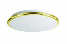 Светильник настенно-потолочный LED Луна Citilux