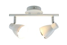 Светильник настенно-потолочный A6008PL-2WH Arte Lamp