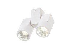 Светильник потолочный Дубль Citilux