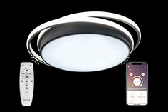 Светильник потолочный 81038 Natali Kovaltseva