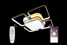 Светильник потолочный 81038 Natali Kovaltseva