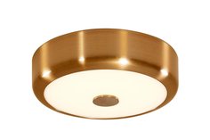 Светильник настенно-потолочный Фостер Citilux