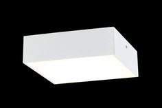 Светильник потолочный Тао Citilux