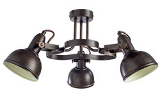 Светильник потолочный Arte Lamp Martin
