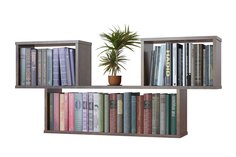 Полка книжная ПК-4 Hoff
