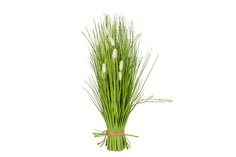 Искусственный букет Ortm17806 Hoff