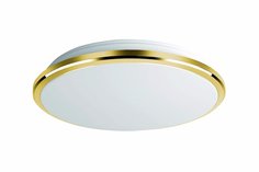 Светильник настенно-потолочный LED Луна Citilux
