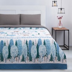 Покрывало "Этель" евро Winter hygge, 205*210±2 см, микрофибра