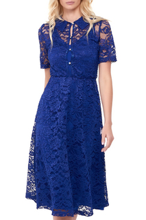 Платье женское Alina Assi 11-504-111-2 синее M