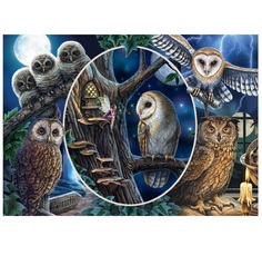 Пазл Л. Паркер. Загадочные совы, 1000 элементов Schmidt