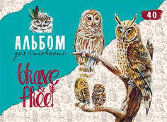 Альбом для рисования "Храбрые и свободные совы", А4, 40 листов Проф Пресс