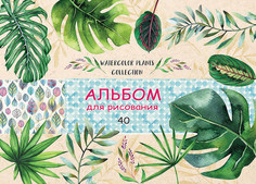 Альбом для рисования "Тропические листья", А4, 40 листов Проф Пресс