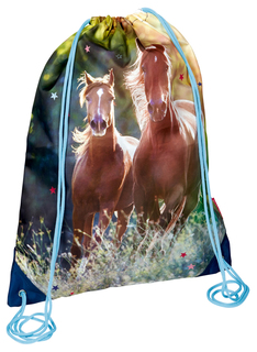 Мешок для обуви Spiegelburg Pferdefreunde, арт 14511