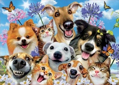 Пазл "Веселое селфи на солнце" (500 деталей) Educa