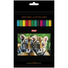 Карандаши цветные "Дикий мир", 18 цветов Hatber