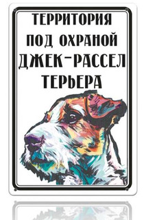 Уличная табличка 20х30 см Декоративная жесть