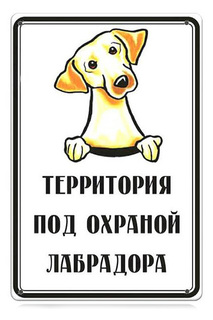 Уличная табличка 20х30 см Декоративная жесть