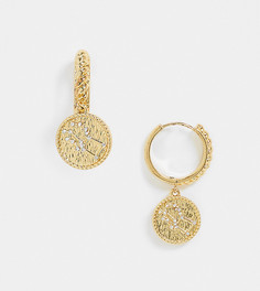 Серьги премиум-класса с позолотой 14 карат Reclaimed Vintage inspired с созвездием Пегас