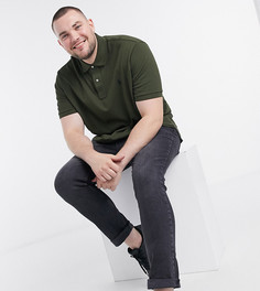 Оливково-зеленое поло из пике с логотипом Polo Ralph Lauren Big & Tall-Зеленый