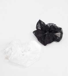 My Accessories London Exclusive 2 pack oversized organza hair scrunchies in black and white-Зеленый
