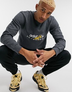 Серый свитшот adidas Originals adventure chameleon